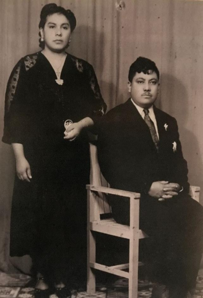 Biografía institucional